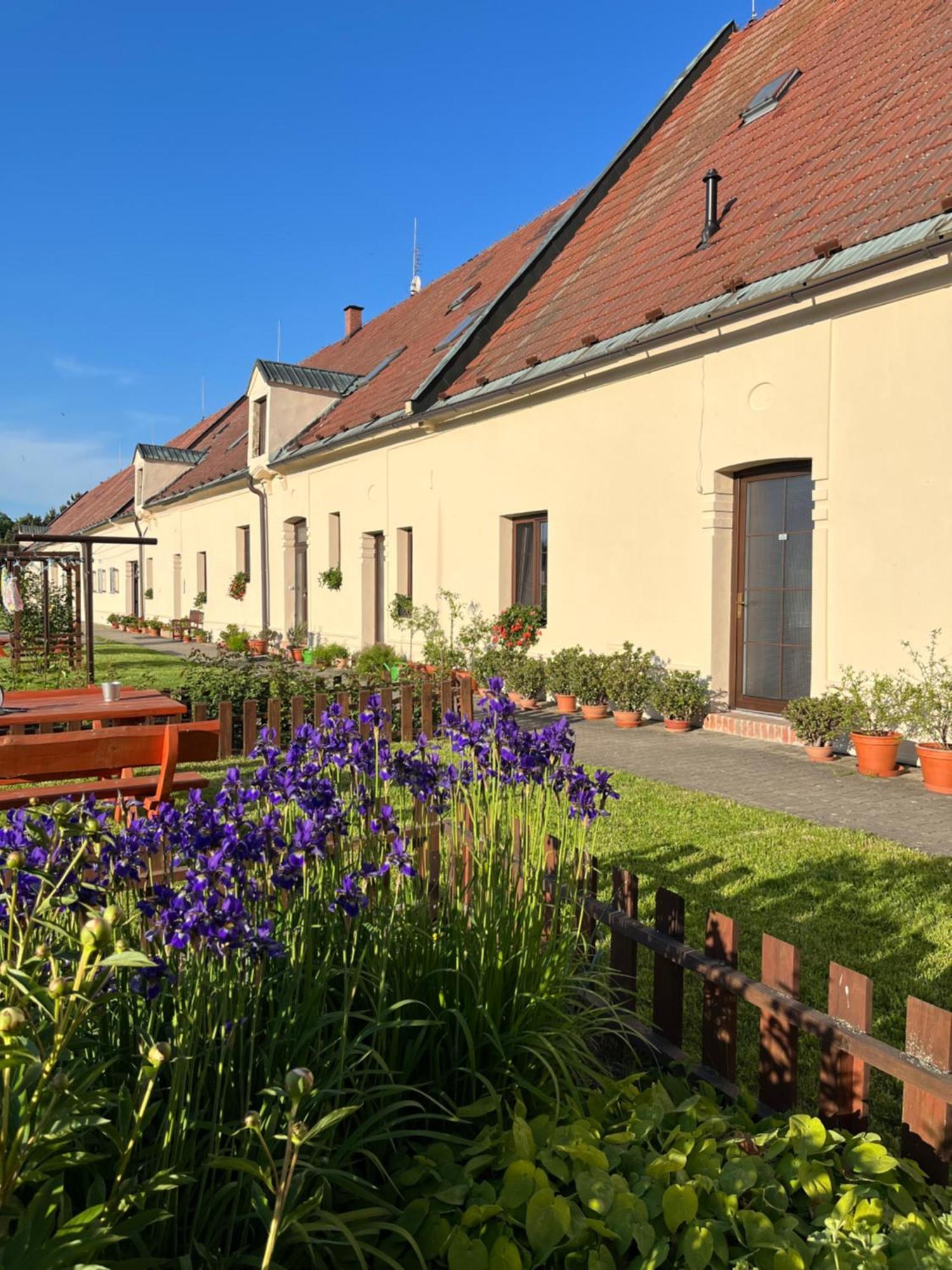 Hotel Dvur Nove Zamky Mladec Exterior foto