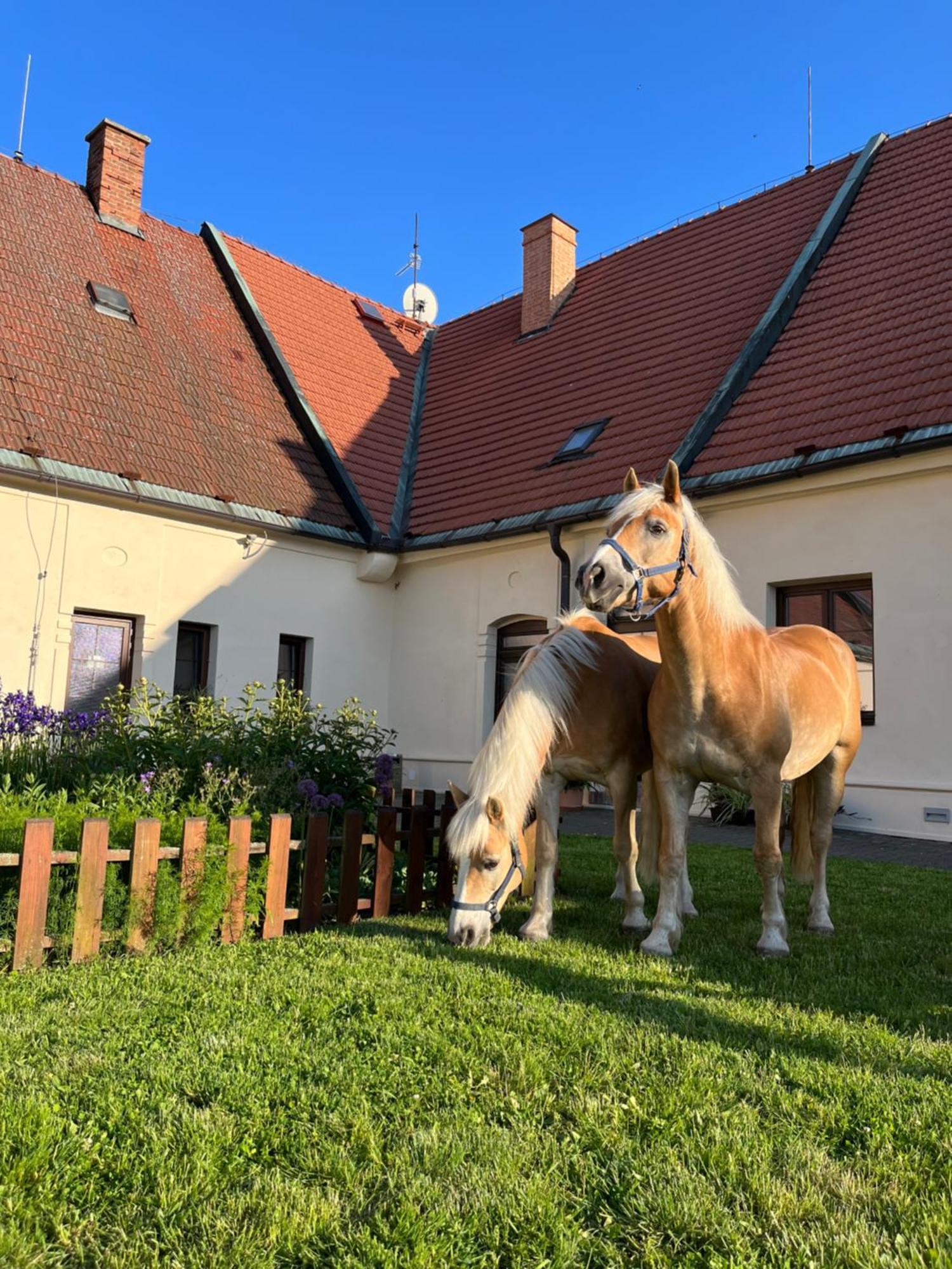 Hotel Dvur Nove Zamky Mladec Exterior foto