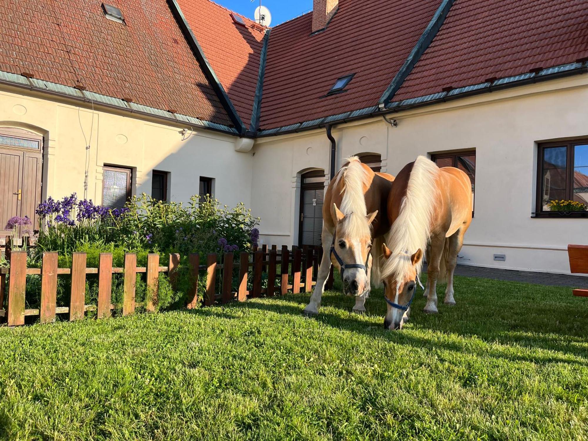 Hotel Dvur Nove Zamky Mladec Exterior foto
